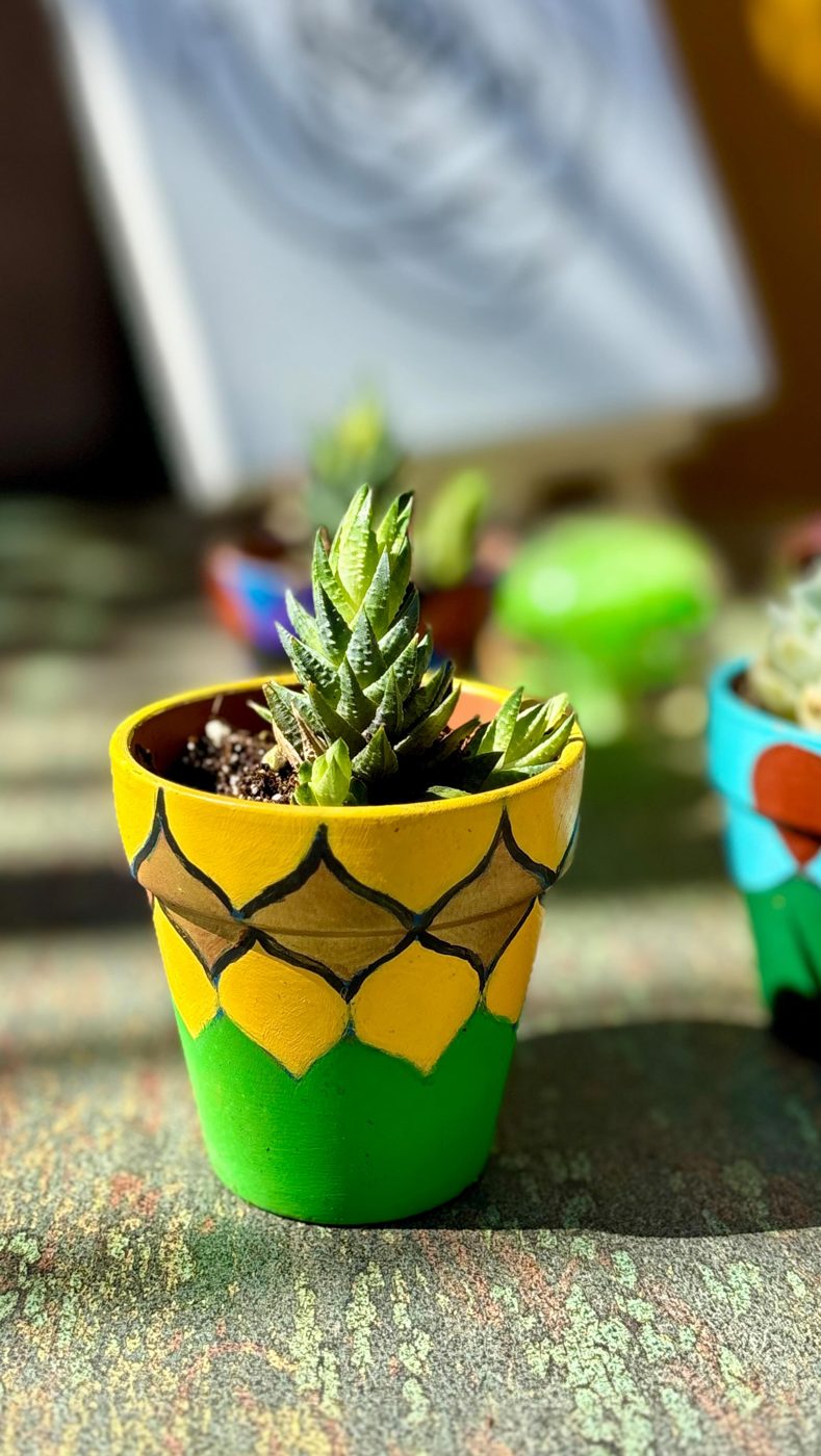 Plant and Paint event in San Diego